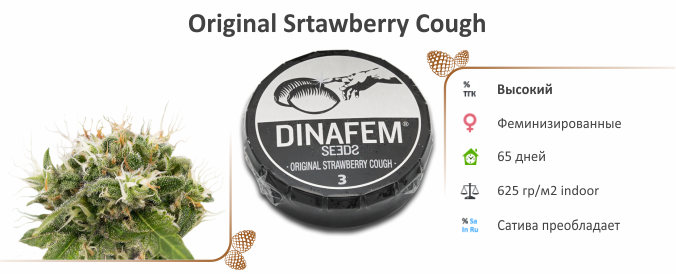 Original Srtawberry Cough Original Srtawberry Cough