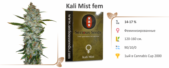 Kali Мist Kali Мist fem
