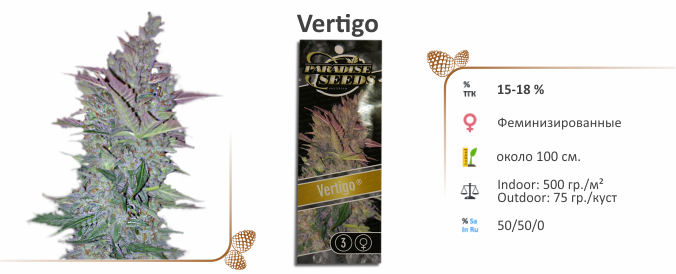 Vertigo Vertigo