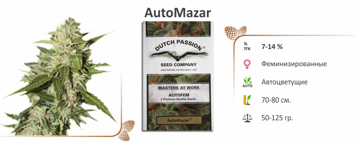 AutoMazar AutoMazar