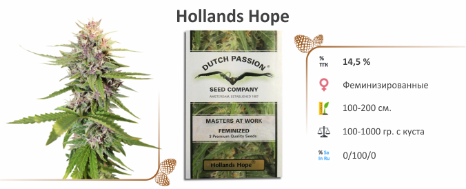 Hollands Hope Hollands Hope