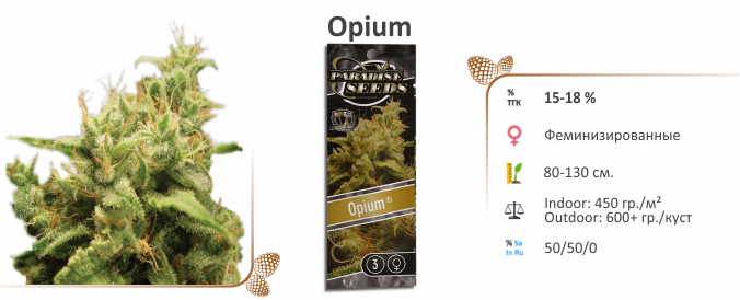 Opium Opium